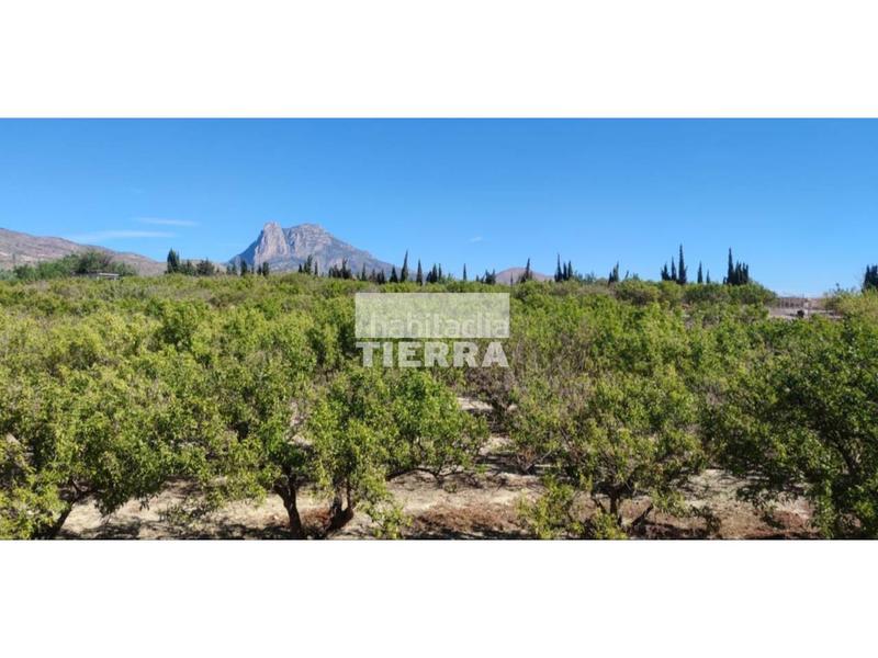 Foto 643a15b0-d23d-4205-bc41-85963e5434bb. Edifici a El Secanet-Hacienda del Sol Vila Joiosa (la)