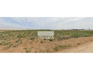 Rural plot  Reyes católicos. Venta de deuda  terreno en torrepacheco