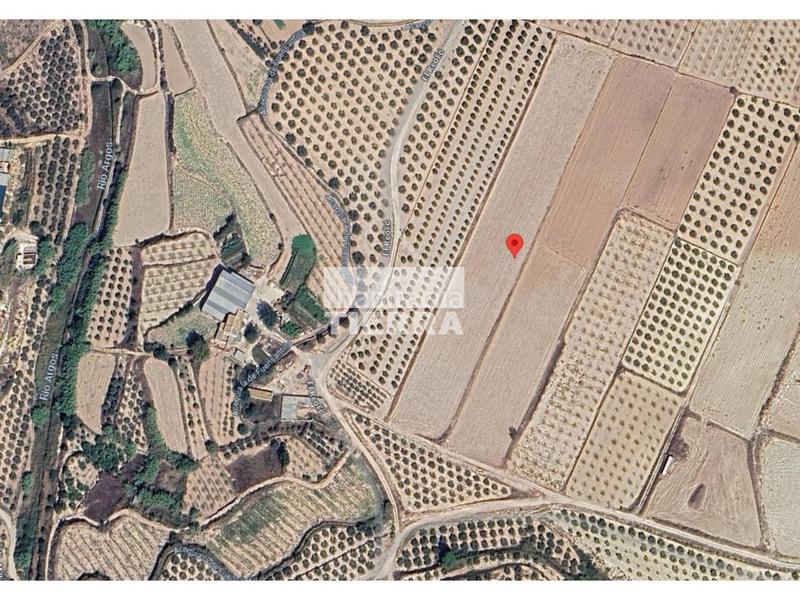 Foto 9dc40473-9c26-4f8f-83c9-33be5621da0f. Terreno residenziale in Calasparra