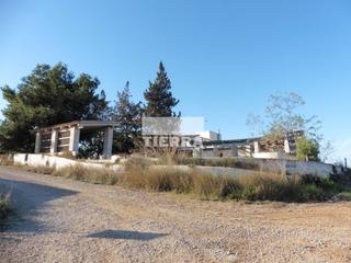 Haus  Molino frailes. Venta de una finca en fuente álamo de murcia