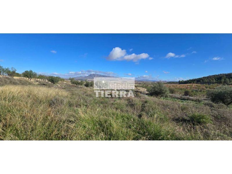 Foto 45b9e414-54e9-4709-9539-28769d56d15f. Casa a Jumilla