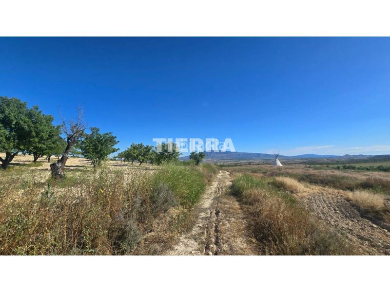 Foto a155ea6f-7a70-4bc0-95b3-469e344c9b46. Casa a Jumilla