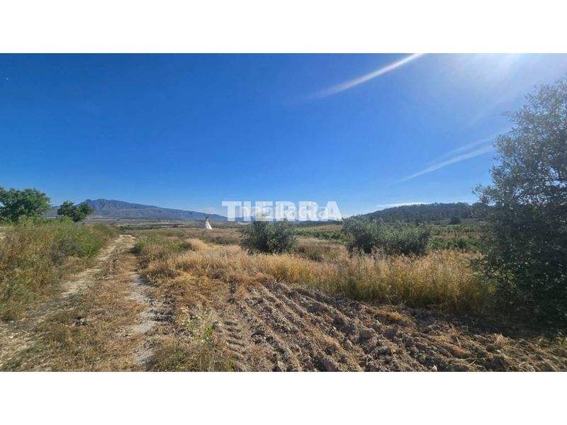 Foto d46440e6-8605-4420-aded-4410269a54a3. Casa a Jumilla