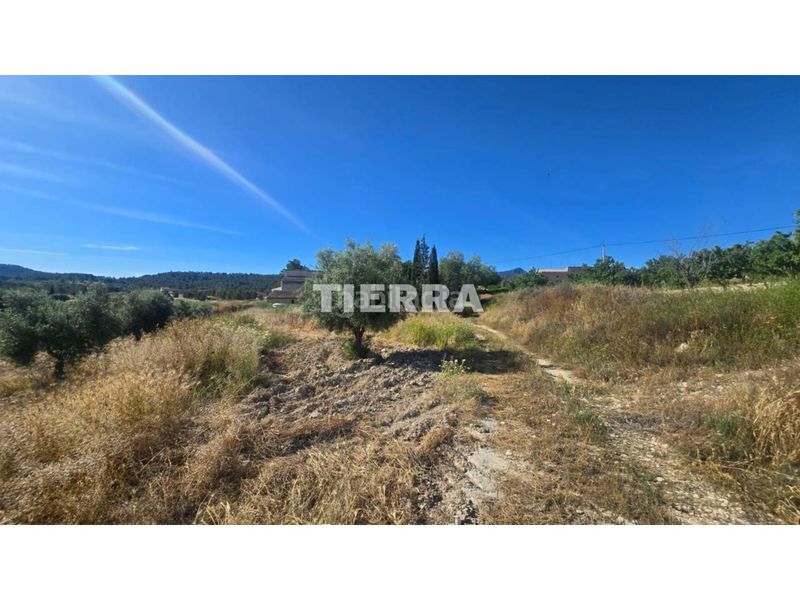 Foto f677d4eb-ad0c-4dff-baa3-adb0f759cbc8. Casa a Jumilla