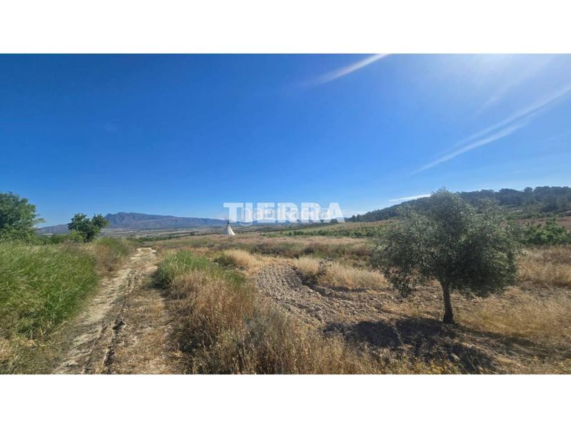 Foto faa3bf12-d78e-454c-906d-d16885a9cdec. Casa a Jumilla