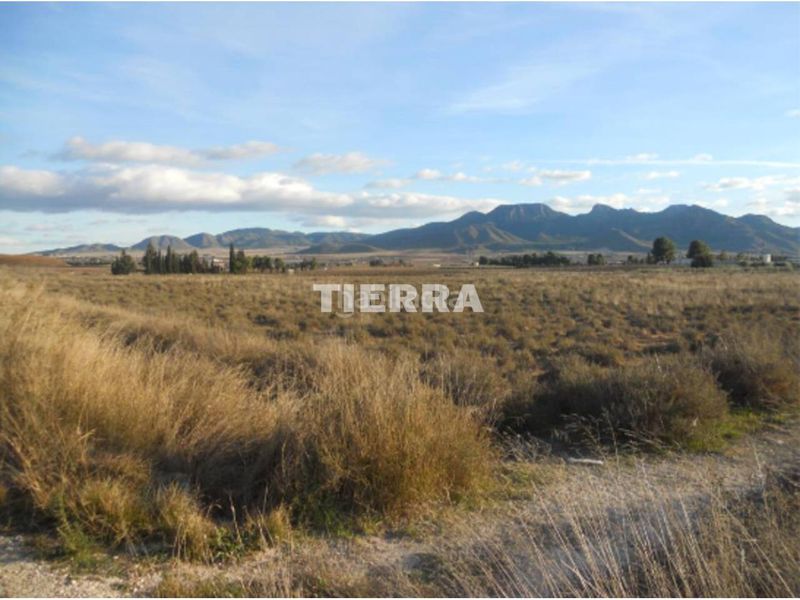 Foto 0ef5dfd3-fa45-44a6-894e-305232376b5a. Finca rústica a Jumilla