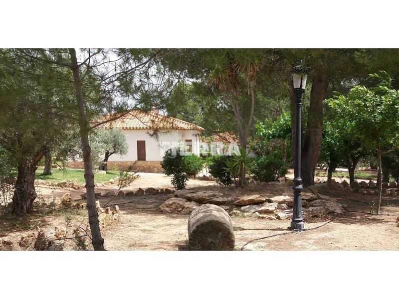 Foto 673b7599-06e5-485c-9059-65ee7bc8642f. Edifici a Socovos