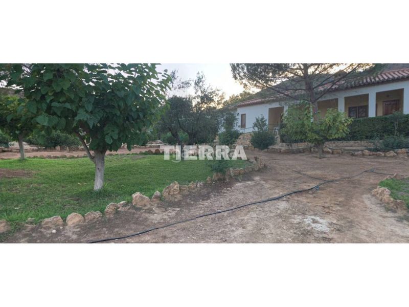 Foto 7cfce4c6-4ecd-4481-adc3-d2c439ccd9f7. Edifici a Socovos