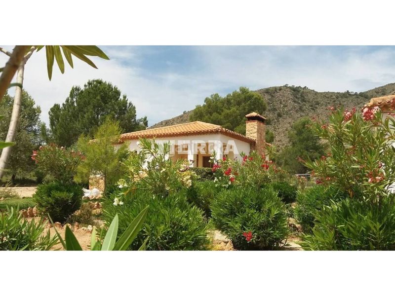 Foto d33ad2bd-8f4d-4b15-8ffe-5b70f701f8d9. Edifici a Socovos