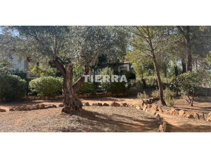 Foto d714f662-62be-48a0-a03b-caac4232760e. Edifici a Socovos
