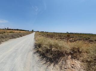 Finca rústica a Carrús Oeste