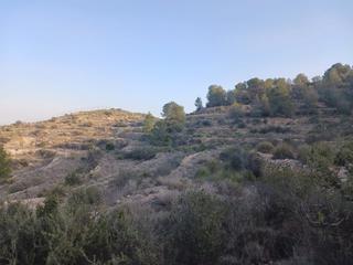 Finca rústica a Partida l'alquebla alta 1. Finca rustica en monovar