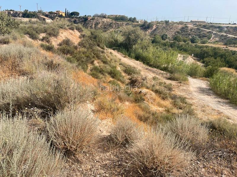 Foto 3320a6fa-602d-4bbf-aaec-bb832c753f30. Wohngrundstück in calle juan ramón jnez 11 in Valle del Sol Mutxamel
