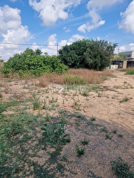 Foto f611f358-66d4-4310-9f7b-b5181a0d99b9. Finca rústica a San Javier San Javier