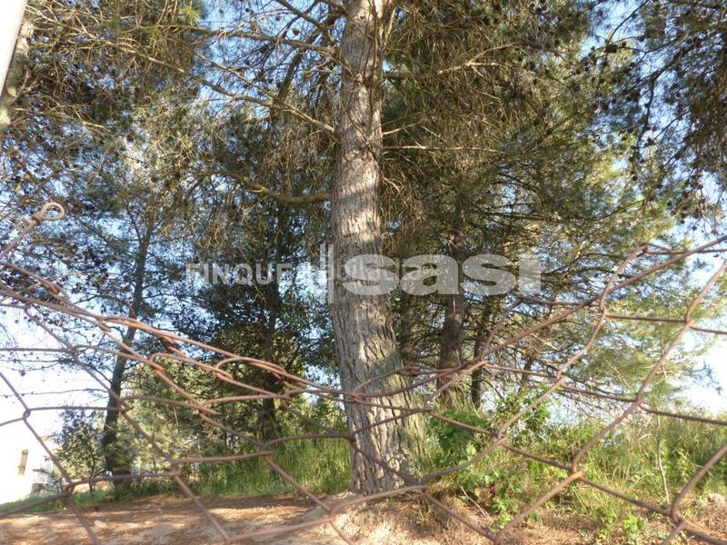 Foto 74ad567f-8f2f-4047-9a6d-af997a9b5a9c. Terrain résidentiel dans Sesoliveres-Pla de la Massa Igualada