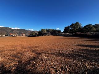 Terreny residencial a Torre de Claramunt (La). Oportunidad de inversión excepcional terreno solar rústico en fo