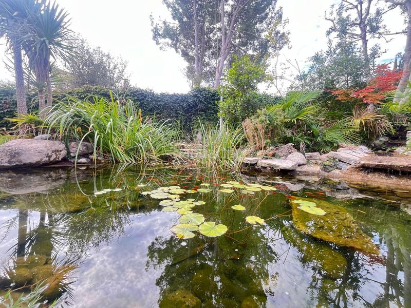 Foto 2aa8072d-b215-4a6a-b047-f9f5a5391961. Casa con riscaldamento parcheggio piscina in Pobla de Claramunt (La)