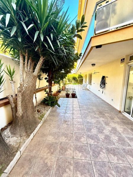 Foto e4b05f89-b28e-45d7-a84c-94c5c65c4dd2. Planta baixa amb aparcament a Centre Salou