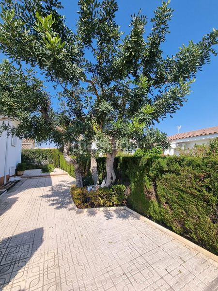 Foto 4b6b32af-4135-401d-aaa9-a21178236c94. Casa amb aparcament a Pino Alto Miami Platja