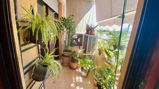 Appartement à Centro Urbano