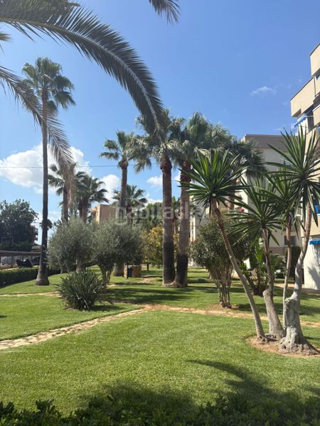 Foto 5fafaa94-f7f1-429d-b3c3-e4f41035eb59. Apartament a El Palmar - Los Molinos Dénia