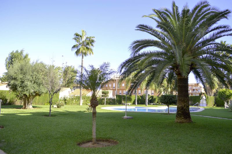 Foto 2c2c00dd-36b4-4aa2-9022-e605586dddc5. Apartament amb calefacció aparcament piscina a Les Bovetes - La Felicidad Dénia
