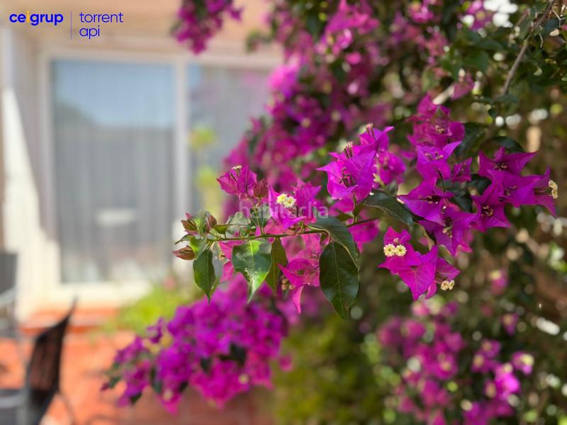 Foto c3af061b-b227-4cd0-8ee6-7e2431afe149. Casa adosada en El Mas Pinell Estartit