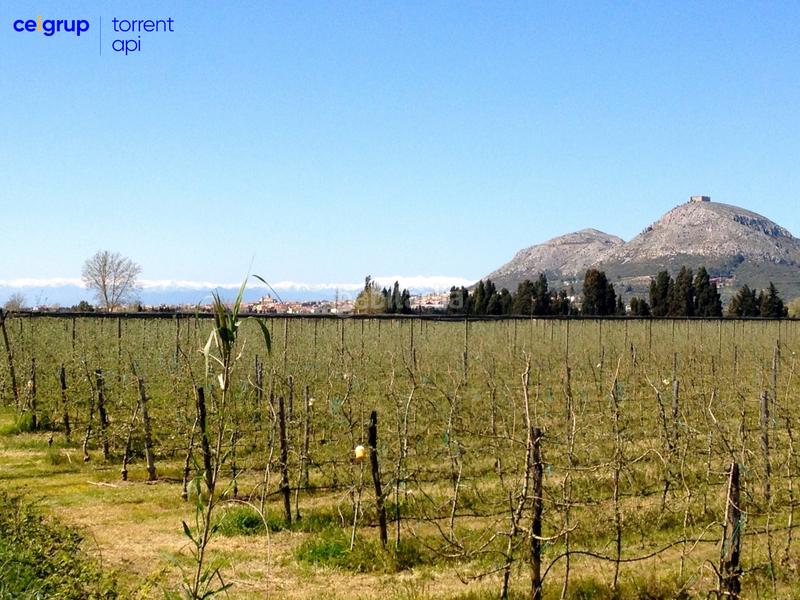 Foto 2dbf9fb9-3f4d-413e-9b99-8e039c0b6e3e. Planta baixa a Torroella de Montgrí