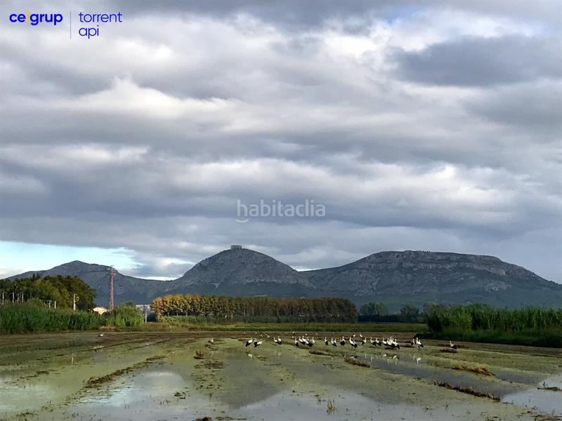 Foto c3a69132-06af-47e0-86a0-979a04c5245c. Planta baixa a Torroella de Montgrí