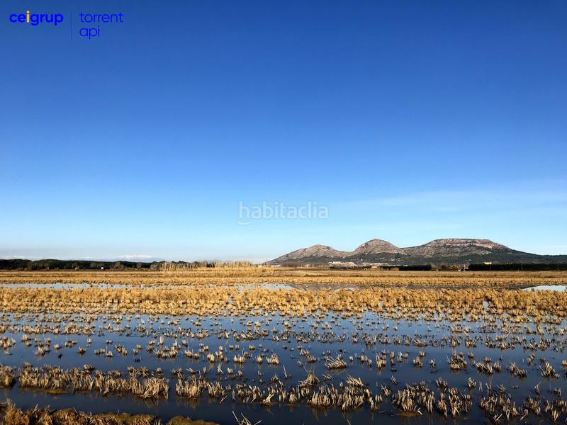 Foto cac15807-f004-4c79-8f3b-92a91cc3f11b. Planta baixa a Torroella de Montgrí