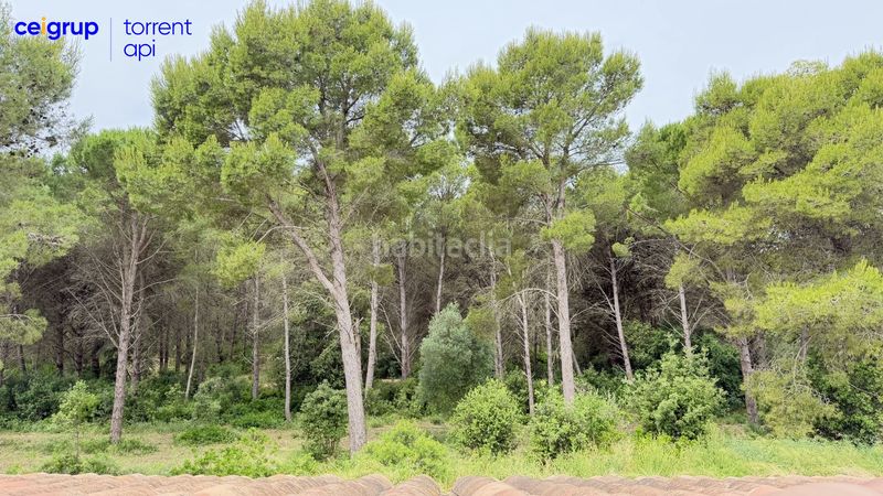 Foto b02a42e9-c080-4371-b2e2-caf31d95e799. Casa amb calefacció aparcament piscina a Riells Escala (L´)