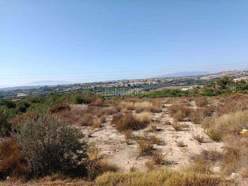 Foto 0fdddb51-fe3a-42b6-80ae-6f28837ab623. Finca rústica a calle torrejunco 5 a Archena