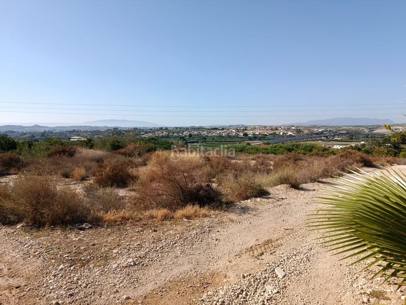 Foto 50e8767c-bd10-43c7-9b10-6d5a1e0722e5. Finca rústica a calle torrejunco 5 a Archena