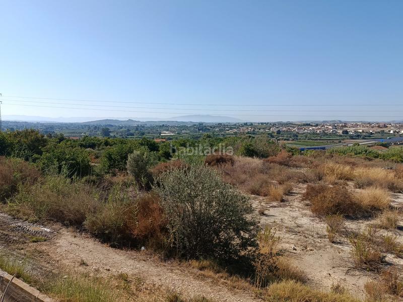 Foto 7f672d06-6a16-4fb5-8202-8b84938d9af2. Finca rústica a calle torrejunco 5 a Archena