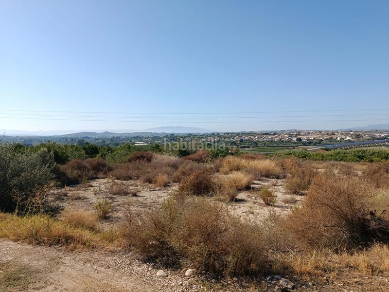 Foto fb923a7e-6b71-4ff4-b4ac-93c364c60cd4. Finca rústica a calle torrejunco 5 a Archena