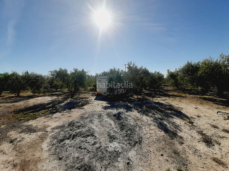Foto 22559a0d-22e1-48e5-b58b-a1e14ae4d661. Finca rústica a Mula
