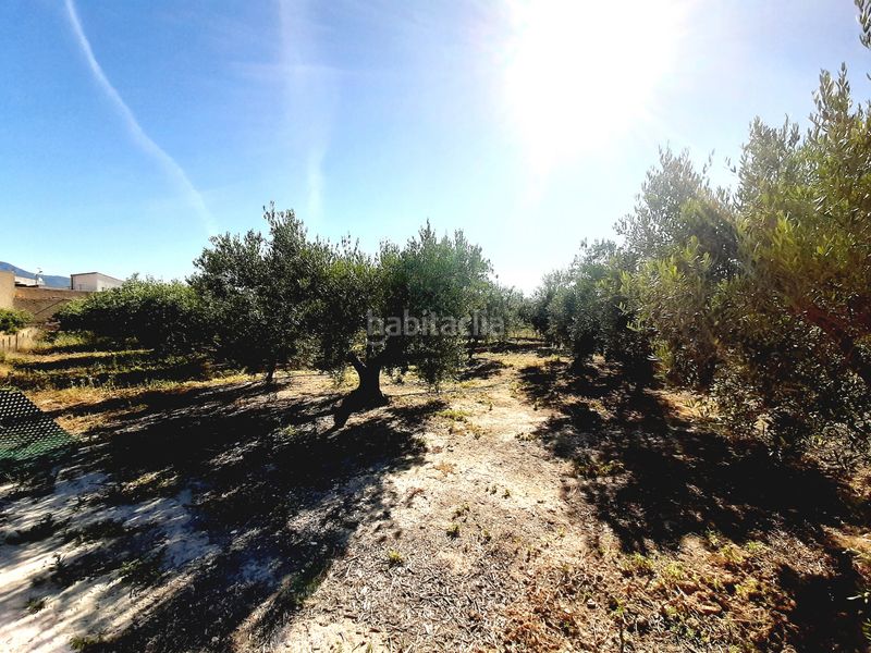 Foto f625c69d-1eee-47d1-9613-337c6ff25565. Finca rústica a Mula