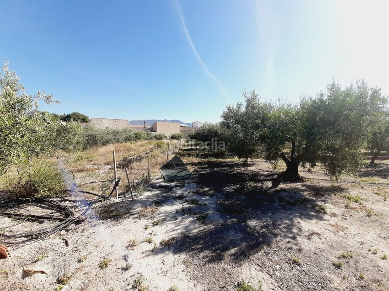 Foto fba9c38a-d231-46b1-b39e-c3ee283f43d2. Finca rústica a Mula