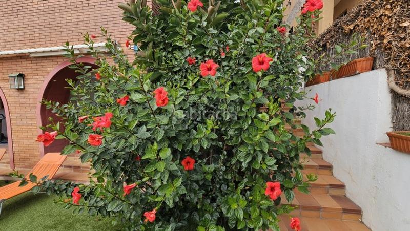 Foto 412ecb2c-d583-45a6-a84e-8a8acbb8fa81. Chalet con camino riscaldamento parcheggio piscina in Barcelona