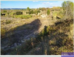 Finca rústica a Carrer partida de sorella 4. Se vende terreno en almoines