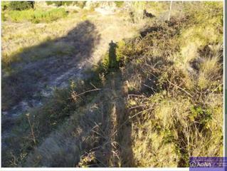 Finca rústica a Carrer partida de sorella 4. Se vende terreno en almoines