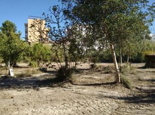 Terreny residencial a Daimús. Se vende terreno en la playa de daimus