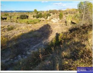 Finca rústica a Carrer marenys 31. Se vende terreno en la marjal