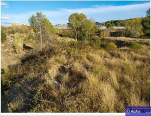 Finca rústica a Carrer marenys 31. Se vende terreno en la marjal