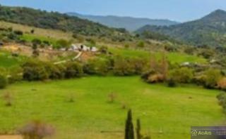Finca rústica en Ctra. Circunvalación - La Magdalena. Se vende masia con terreno de olivos