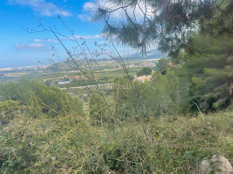 Foto 8613c05f-e8d7-43c5-baaf-8512785d1d0d. Wohngrundstück in calle salze 1 in Ador