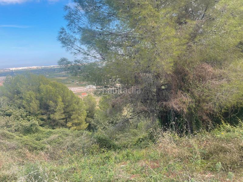 Foto 9e9000c4-9f16-4b45-995f-8398b1b4fb69. Wohngrundstück in calle salze 1 in Ador