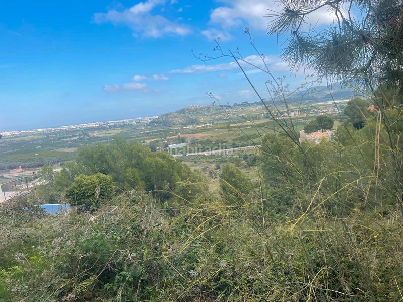 Foto e560f35b-8b93-407b-bf74-fe2ad29cb4c0. Wohngrundstück in calle salze 1 in Ador