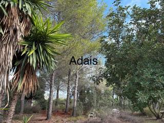 Xalet  Camino de marchuquera 167. Se vende chalet en marchuquera