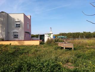 Chalet  Carrer de salvador la casta 10. Se vende chalet en alzira